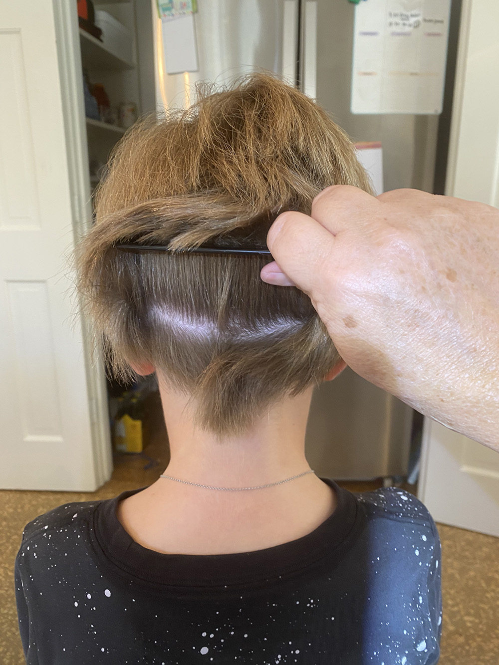 Head Lice Treatment Removal Service in Dallas, Texas LiceDoctors